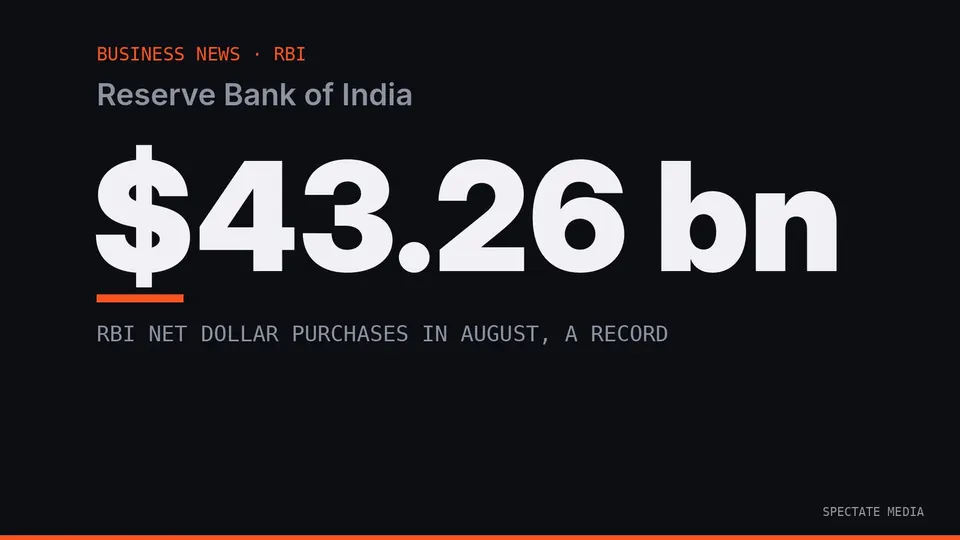 Spectate Media graphic: RBI net dollar purchases in July and August 2026